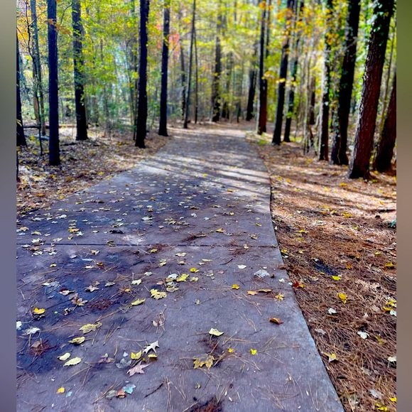 Meet your Posher, Michael - Picture 1 of 1